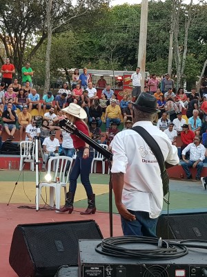 violeiros (1)