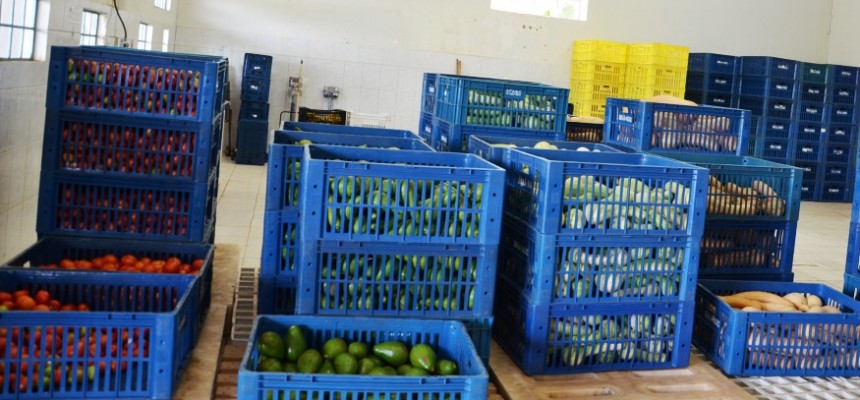 banco de alimentos (34)