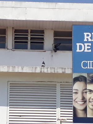 74293123_3091233334240042_5775974295717019648_o