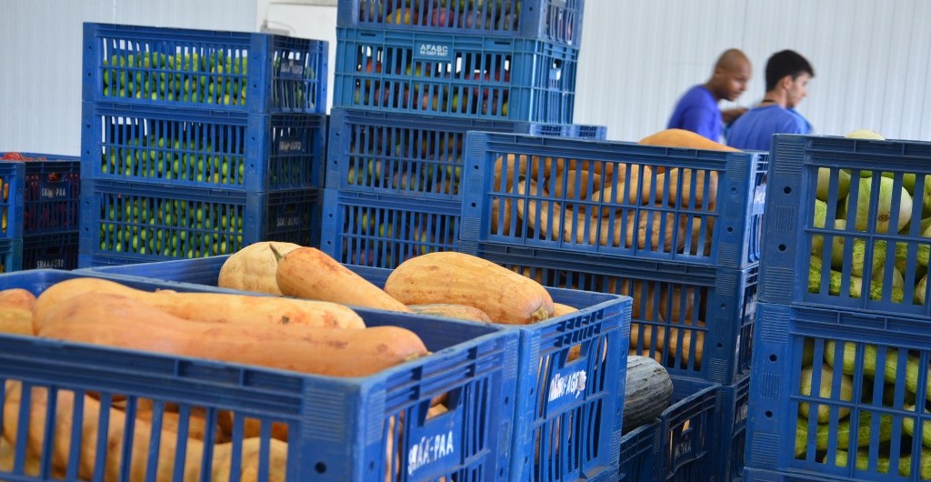 banco de alimentos PAA (2)