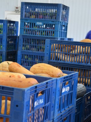banco de alimentos PAA (2)
