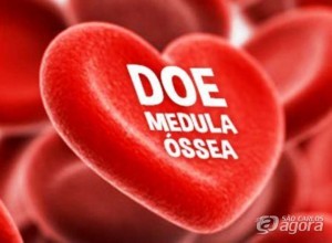 banner-medula-ossea-hemoce