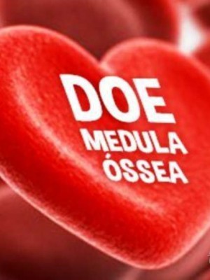 banner-medula-ossea-hemoce