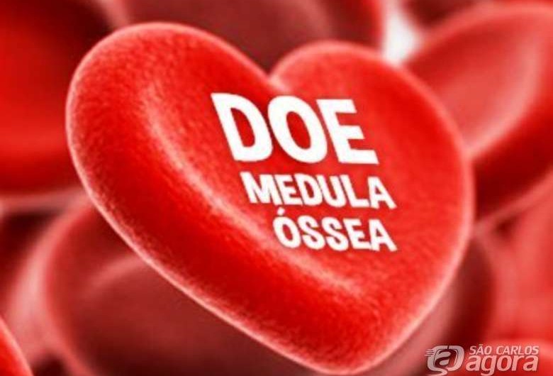 banner-medula-ossea-hemoce
