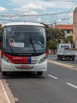 thumbnail_roselei_onibus