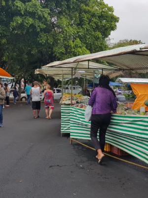 FEIRA GRÉCIA (2)