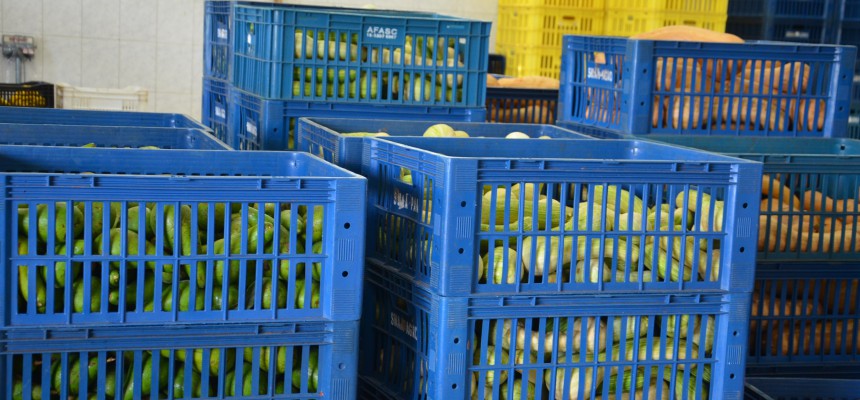 banco de alimentos (33)
