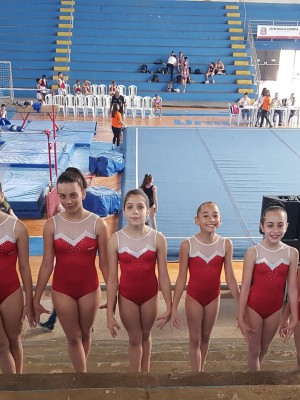 ginástica (4)