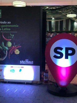 participantes  feito SP (9)
