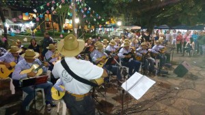 thumbnail_Orquestra violeiros