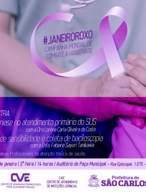 HANSENIASE_JANEIRO_ROXO