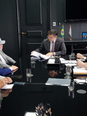 SP vice governador 8