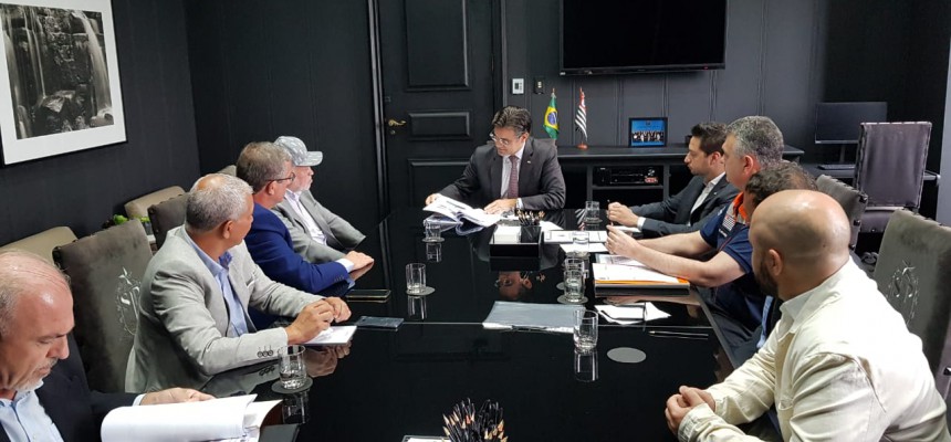 SP vice governador 8