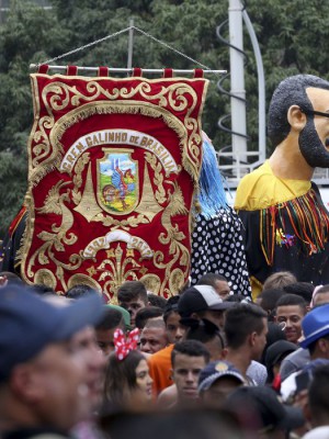carnaval-brasília