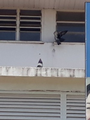 74293123_3091233334240042_5775974295717019648_o-860x400