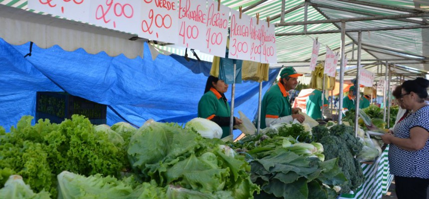 feira-santa-felícia-98-1140x641
