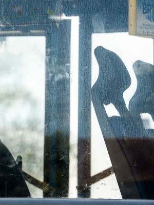 rj_mascara_onibus_1903200969