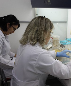 65498_1_copia_7254715796557645462