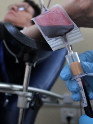 9979f6dca35b96d3e2f29477c280cceb_XL (1)