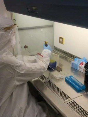 img-20200424-wa0010226348837-780x641 (1)