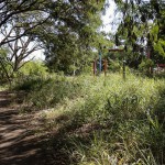 thumbnail_Parque Pardinho -1