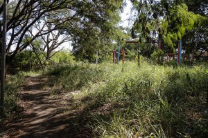 thumbnail_Parque Pardinho -1