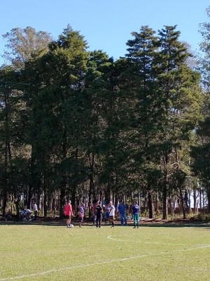 593be264-85a6-4782-a802-0e47bd335559