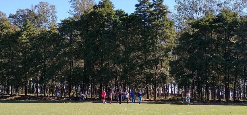 593be264-85a6-4782-a802-0e47bd335559