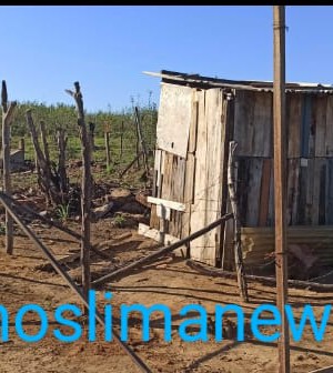 a0406a86-5cdd-46a7-addc-6d1ef2cb90e0