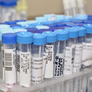 50010028817_77bc9bc2a2_k-600x300