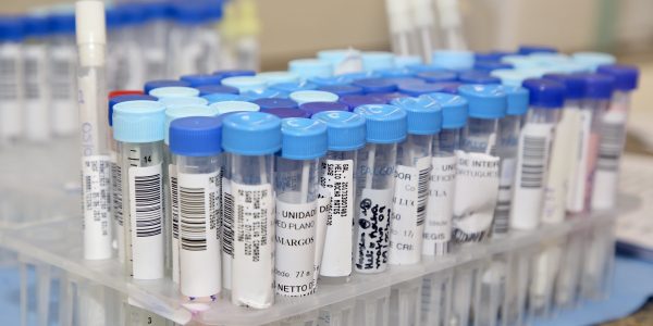 50010028817_77bc9bc2a2_k-600x300