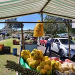 540d6a06-ccba-4a88-a183-550c90919485