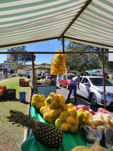 540d6a06-ccba-4a88-a183-550c90919485