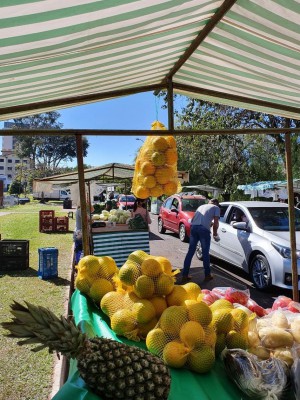 img-20200710-wa0016377742005-960x1140