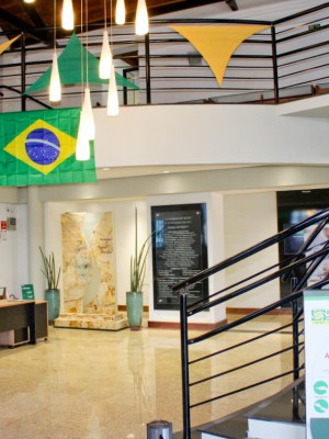 thumbnail_SemanaBrasil001