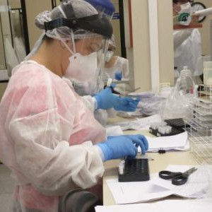 unesp-coronavirus-600x300