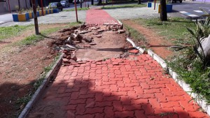 Pista Henrique Gregori - 3