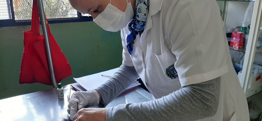 thumbnail_ibatecanilvacina