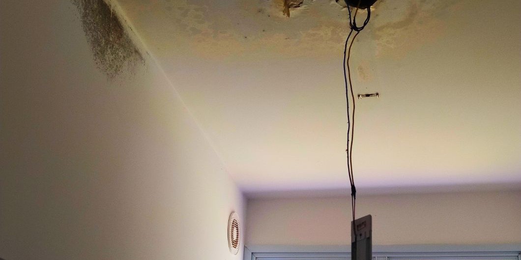 photo4963215880741824714