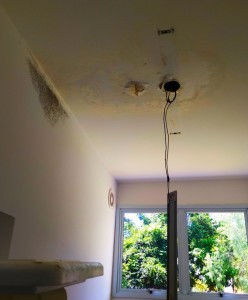 photo4963215880741824714