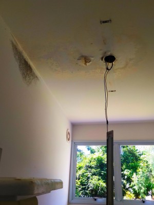 photo4963215880741824714