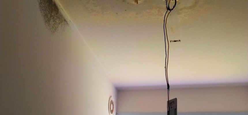 photo4963215880741824714