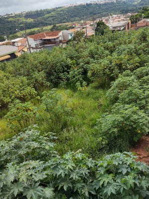 Foto do Terreno 2