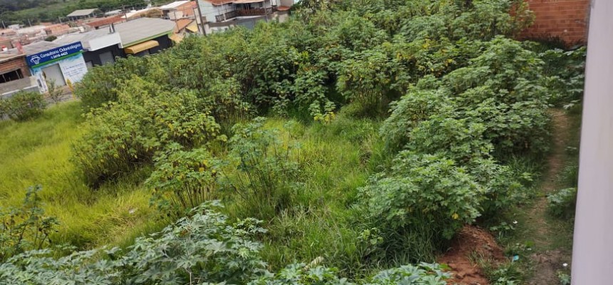 Foto do Terreno 2