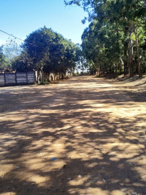 estrada1