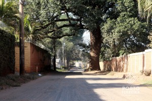 m_87_1_1_15072021153426