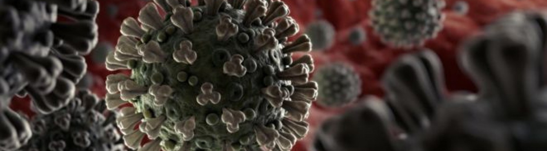 comite-de-contingencia-informa-presenca-da-variante-delta-em-araraquara-tUlI