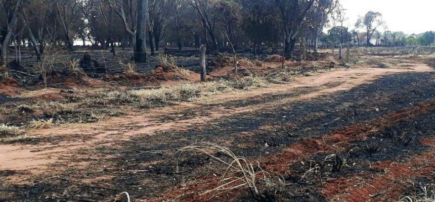 propriedade-rural-e-multada-em-mais-de-r-100-mil-por-queimada-em-araraquara-lHPK