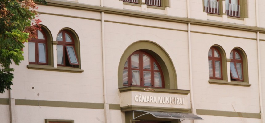 thumbnail_IMG_7864
