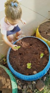 5a4b6b03-8941-44dc-a147-617c62ab2e37